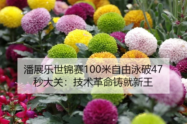 潘展乐世锦赛100米自由泳破47秒大关：技术革命铸就新王