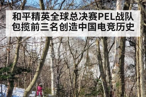 和平精英全球总决赛PEL战队包揽前三名创造中国电竞历史